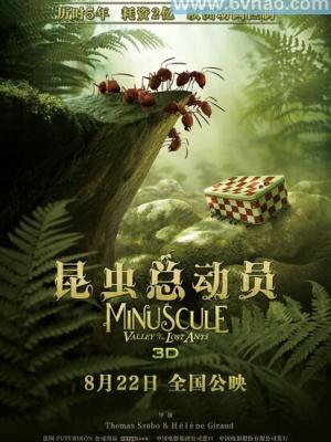 记忆碎片